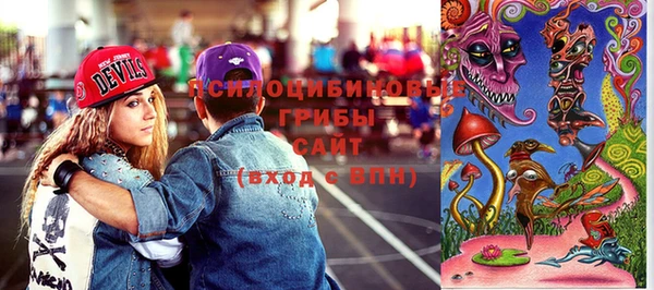 гашиш Богородицк