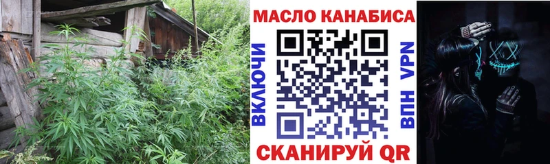 Купить закладки  Боровичи  Дистиллят ТГК концентрат 