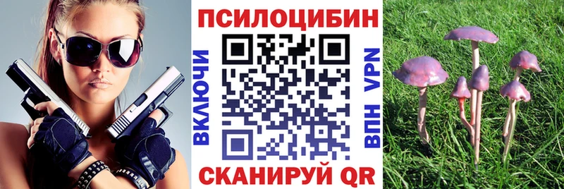 Галлюциногенные грибы Cubensis Купить закладки Боровичи